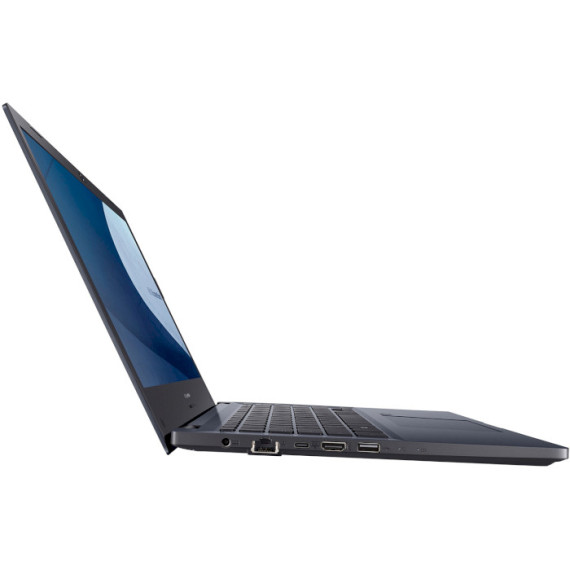 ASUS ExpertBook P2451FA Star Black (P2451FA-EK2317)