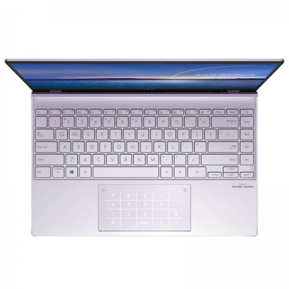 ASUS ZenBook 14 UX425JA (UX425JA-BM003T)