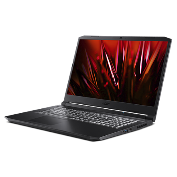 Acer Nitro 5 AN517-41-R8GQ Black (NH.QASEU.00C)