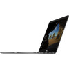 ASUS ZenBook Flip 14 UX461UA (UX461UA-Q52SP-CB)