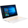 Acer ConceptD 3 CN315-72G (NX.C5YEU.006)