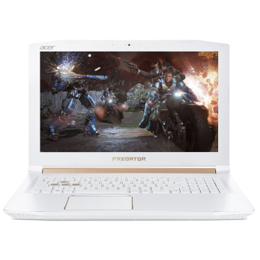 Acer Predator Helios 300 PH315-51 (NH.Q4HEU.004)