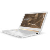Acer Predator Helios 300 PH315-51 (NH.Q4HEU.004)