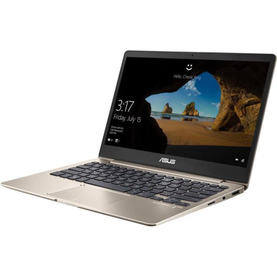 ASUS ZenBook 13 UX331UA Icicle Gold (UX331UA-DS71)