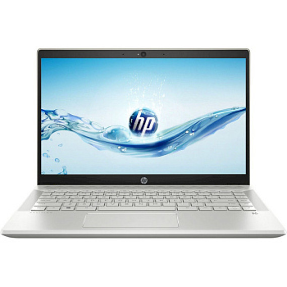 HP Pavilion 14-ce2028ur Silver (7VS60EA)