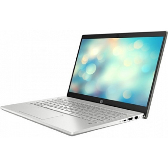 HP Pavilion 14-ce2028ur Silver (7VS60EA)