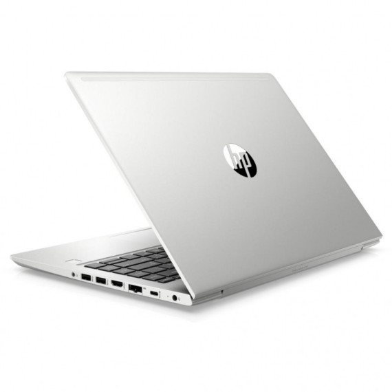 HP ProBook 440 G6 (4RZ53AV_V1)