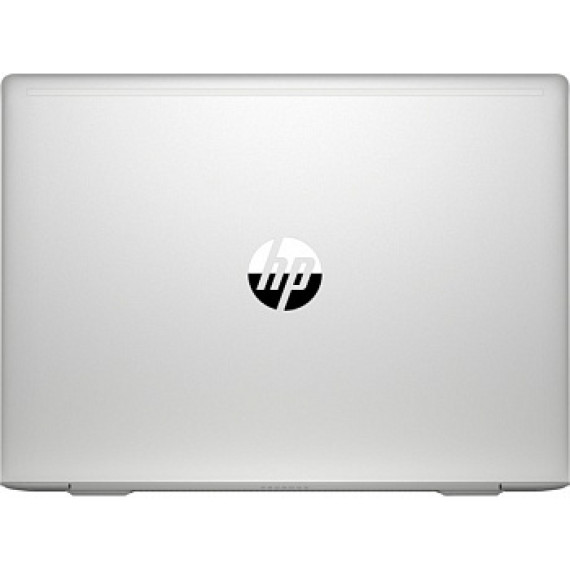 HP ProBook 440 G6 Pike Silver (4RZ57AV_V9)