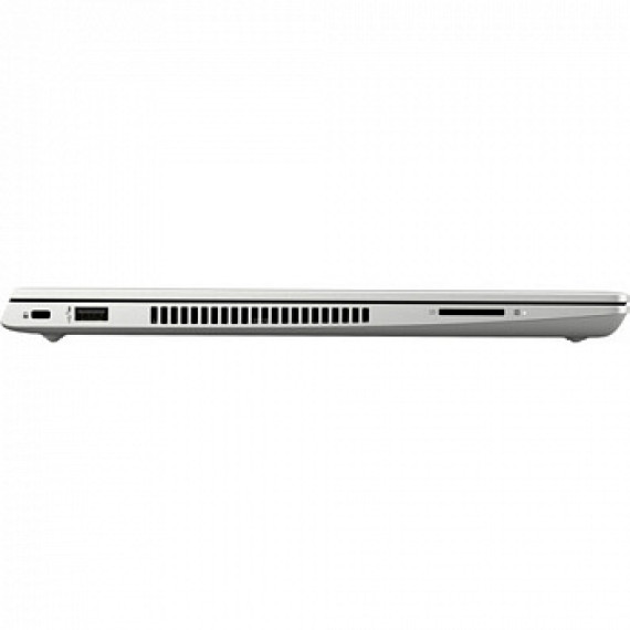 HP ProBook 445 G7 Silver (7RX17AV_V13)