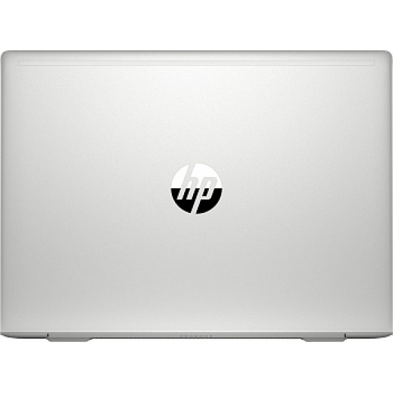 HP ProBook 445 G7 Silver (7RX17AV_V13)
