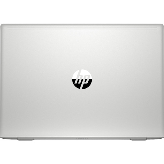 HP ProBook 450 G6 Silver (4SZ47AV_V8)