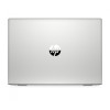 HP ProBook 450 G6 Silver (6HL94EA)