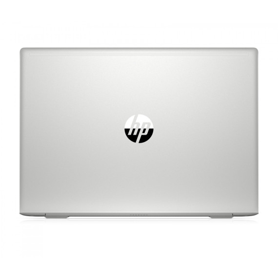 HP ProBook 450 G6 Silver (6HL94EA)