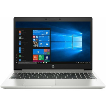 HP Probook 455 G7 Silver (2D239EA)