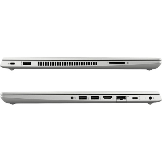 HP Probook 455 G7 Silver (2D239EA)