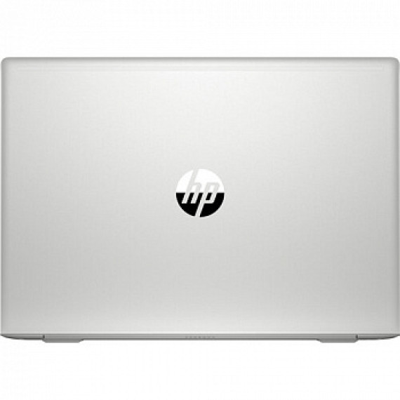 HP ProBook 455 G7 Silver (7JN03AV_ITM2)