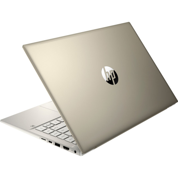 HP Pavilion 14-dv0026ur Gold (398N1EA)
