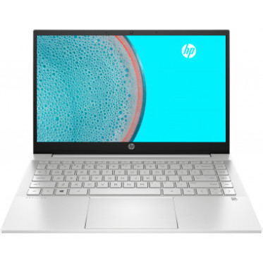 HP Pavilion 14-dv0043ua Silver (425R8EA)