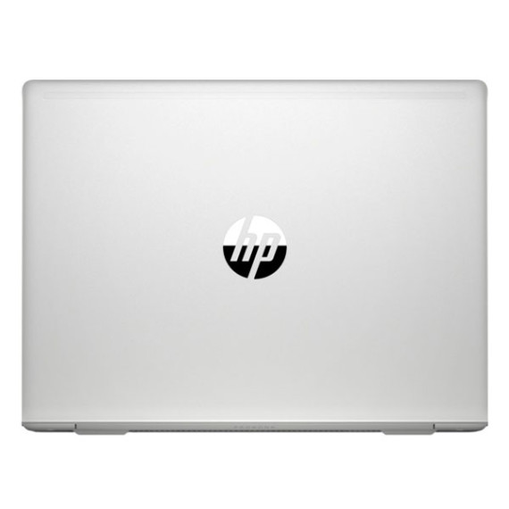 HP ProBook 450 G6 (4SZ45AV_V20)
