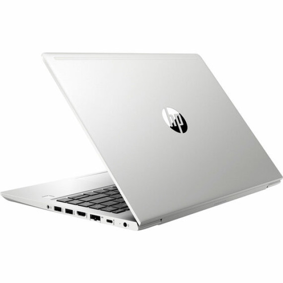 HP ProBook 445R G6 Silver (5SN63AV_V11)
