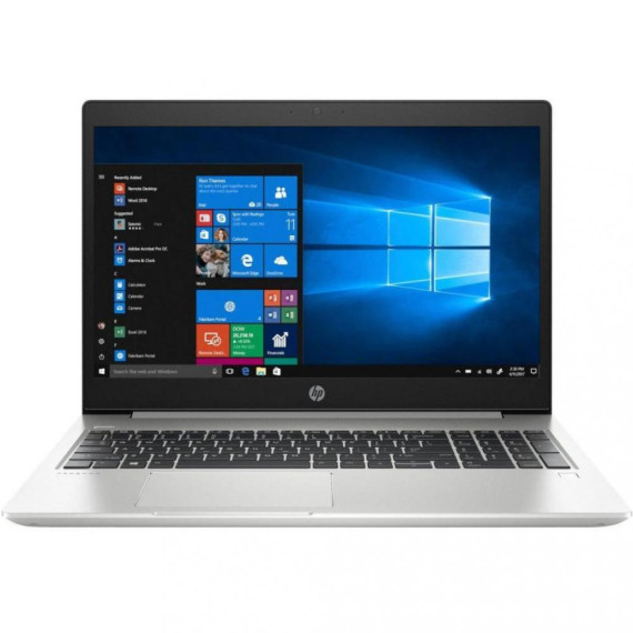 HP ProBook 450 G6 Silver (4SZ45AV_V1)