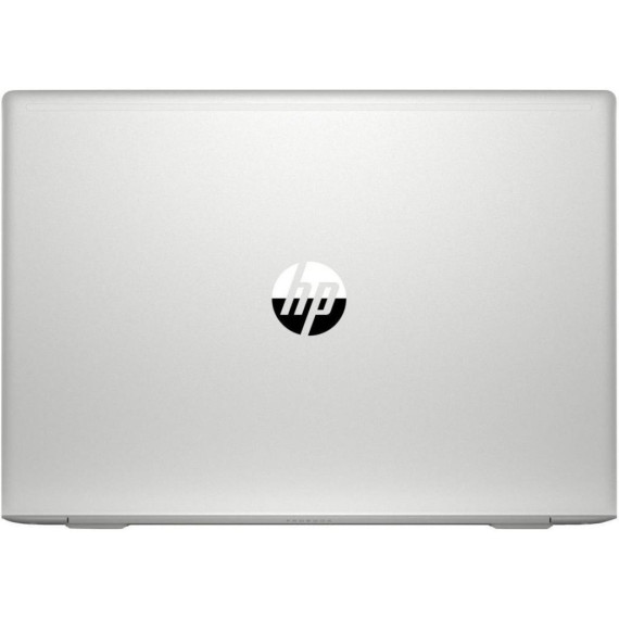 HP ProBook 450 G6 Silver (4SZ45AV_V1)