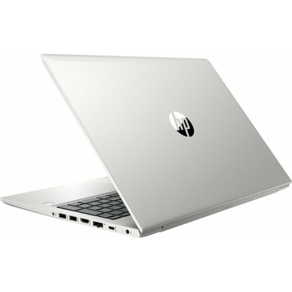 HP ProBook 445 G7 (7RX18AV_V1)