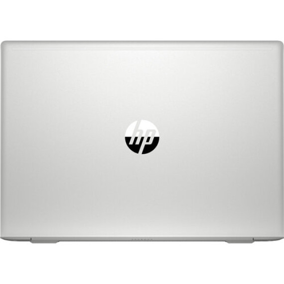 HP ProBook 445 G7 (7RX18AV_V1)
