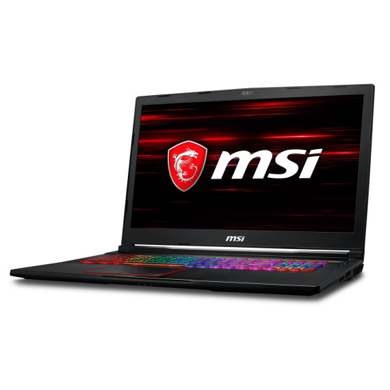 MSI GE73 8RE Raider RGB (GE738RE-044NL)