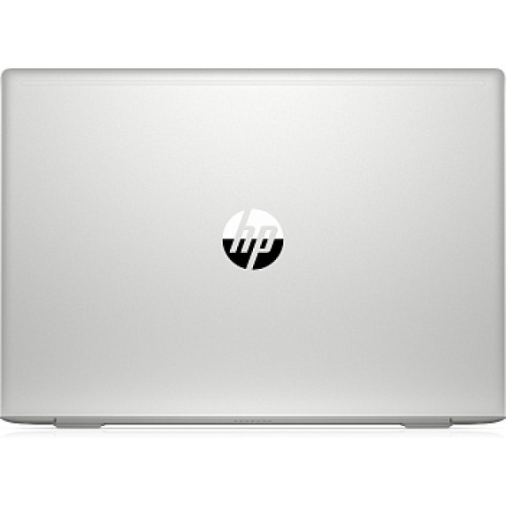 HP ProBook 455R G6 Silver (7HW14AV_V4)