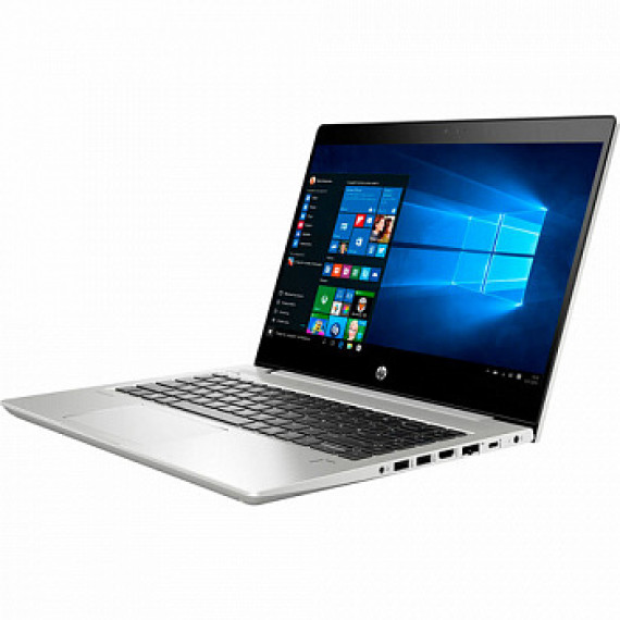 HP ProBook 445R G6 Silver (5SN63AV_V6)