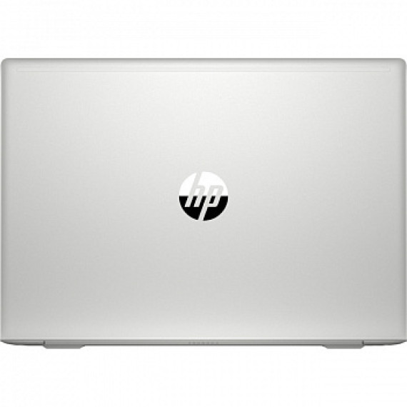 HP ProBook 450 G7 Silver (6YY19AV_V5)