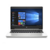 HP ProBook 455 G7 Pike Silver (7JN01AV_ITM1)