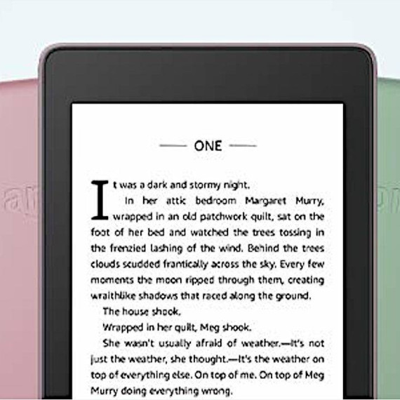 Amazon Kindle Paperwhite 10th Gen. 8GB Sage