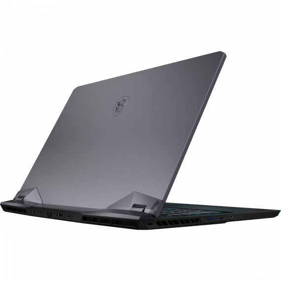 MSI GE76 Raider 11UH-461 (GE7611461)