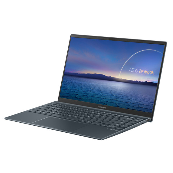 ASUS ZenBook 14 UX425EA (90NB0SM1-M13790)