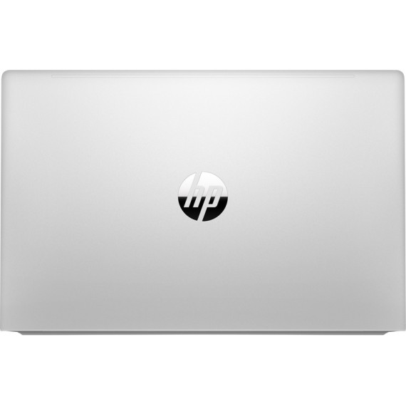 HP ProBook 455 G8 Pike Silver (1Y9H0AV_V3)