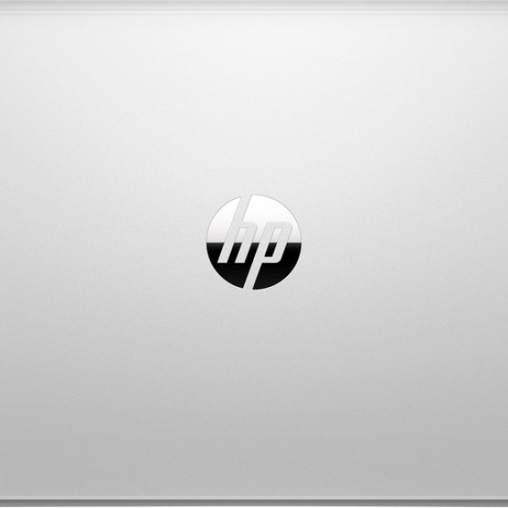 HP ProBook 455 G8 Pike Silver (1Y9H1AV_ITM4)