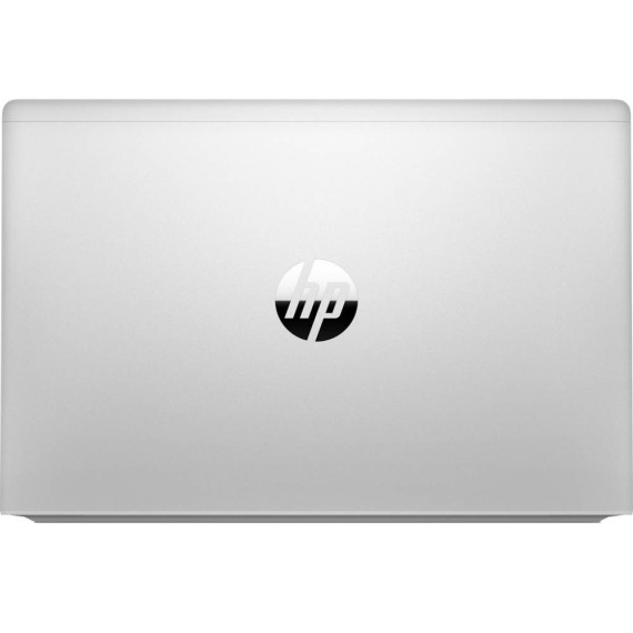 HP ProBook 445 G8 Pike Silver (2U741AV_V4)