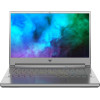 Acer Predator Triton 300 SE PT314-51s-73N5 Silver (NH.QBJEU.009)