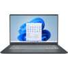 MSI Prestige 15 A11UC Carbon Gray (A11UC-080UA)