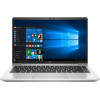 HP ProBook 445 G8 Pike Silver (2U742AV_V2)