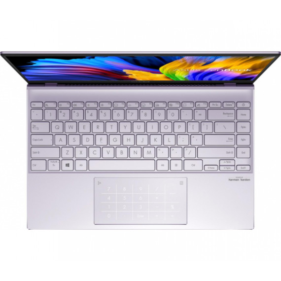 ASUS ZenBook 14 UM425UA (UM425UA-KI220T)