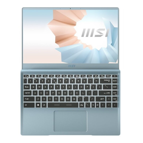 MSI Modern B11SB (B11SB-289)