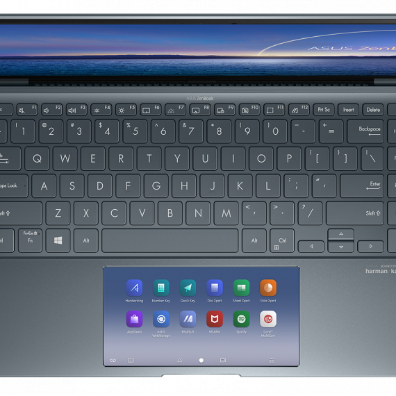 ASUS ZenBook 14 UX435EG (UX435EG-I716512G1R)