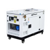 Дизельный генератор ITC Power DG12000XSEm