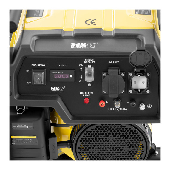 Бензиновый генератор MSW PG3000W