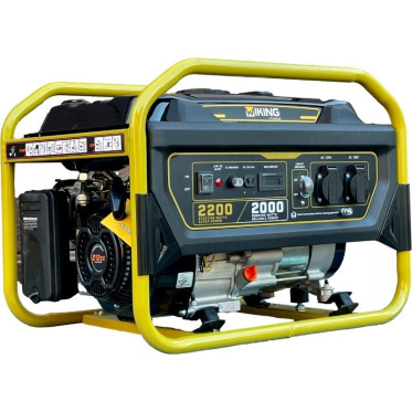 Бензиновый генератор Wiking Polska W136 (GK2500)