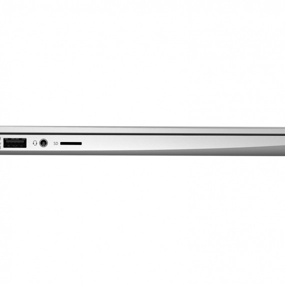 HP ProBook 445 G8 Pike Silver (2U740AV_V4)