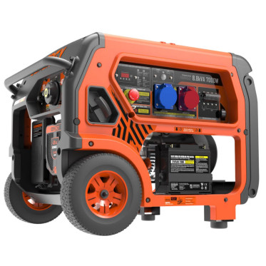 Бензиновый генератор Genergy FORMIGAL